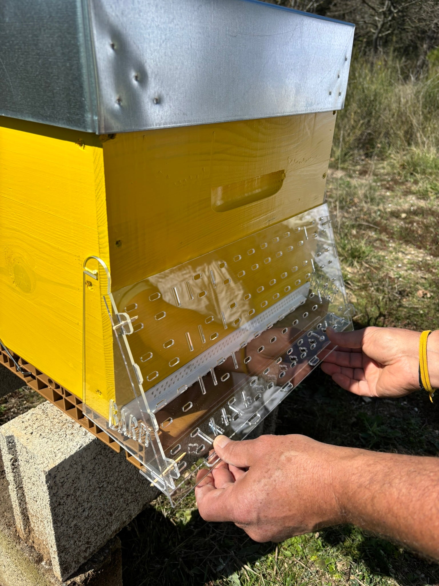 Piège BARF pour protection de ruche contre frelon asiatique