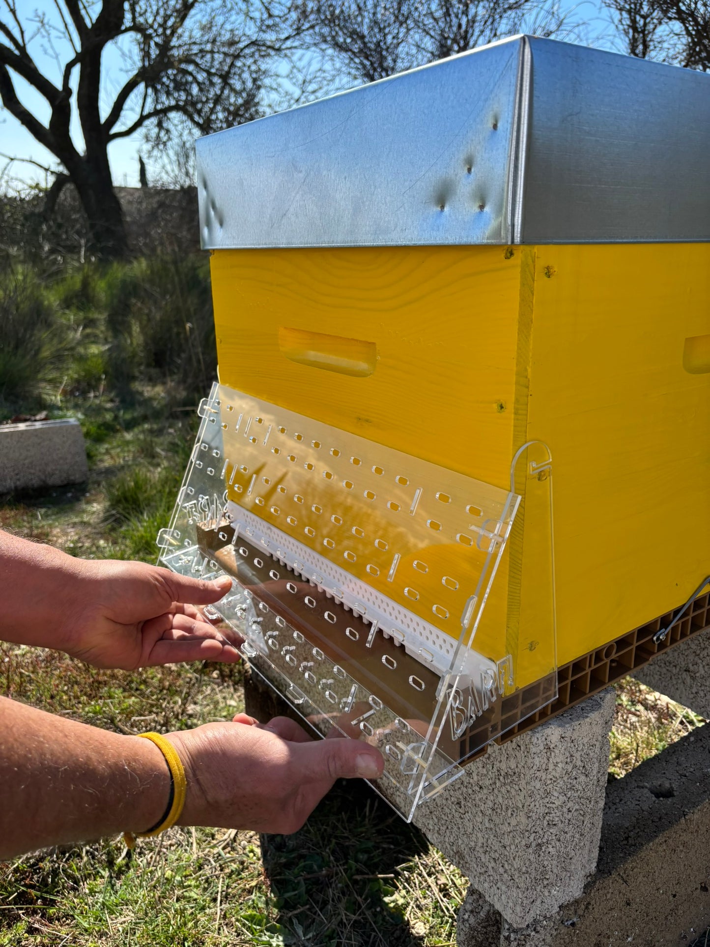 Piège BARF pour protection de ruche contre frelon asiatique