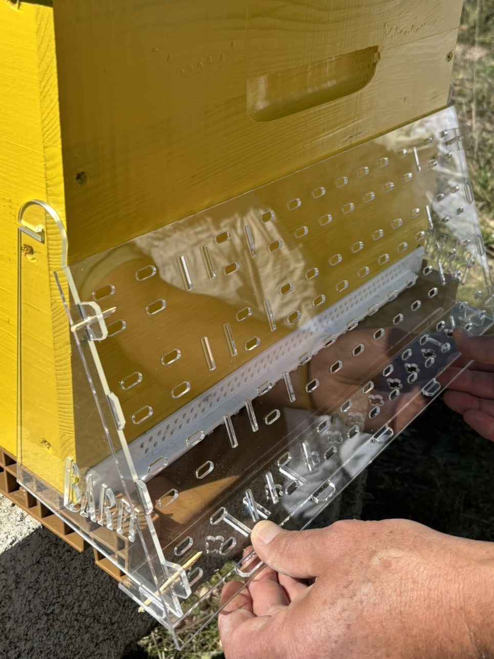 Charger la vidéo : Montage du dispositif BARF sur une ruche pour protéger les abeilles contre les frelons asiatiques
